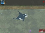 Gioco Killer Whale Willy